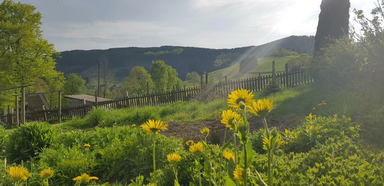 Pension Bergfrieden Schmallenberg Luaran gambar